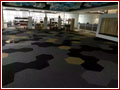 Ecosoft 9500 Series, Eco 9500 Series, 9500 Series, 
												9500 Designer Carpets, Manufacturers of 9500 Series Carpets